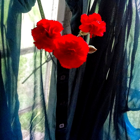 Flowy Bebe Blue Green 💚 Teal 🩵 Blouse Top Size S - Picture 5 of 16